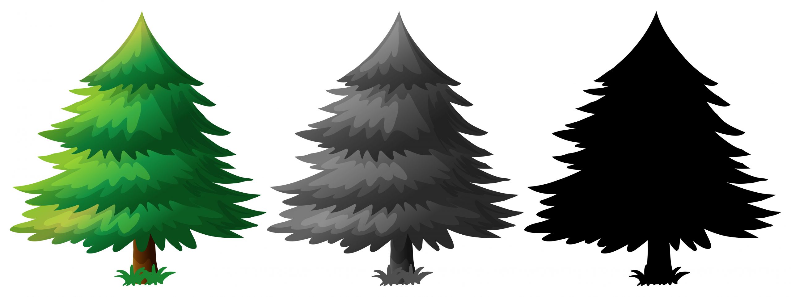 Pine Tree Vector Art Awesome Set Of Pine Tree Vector Art at Vecteezy