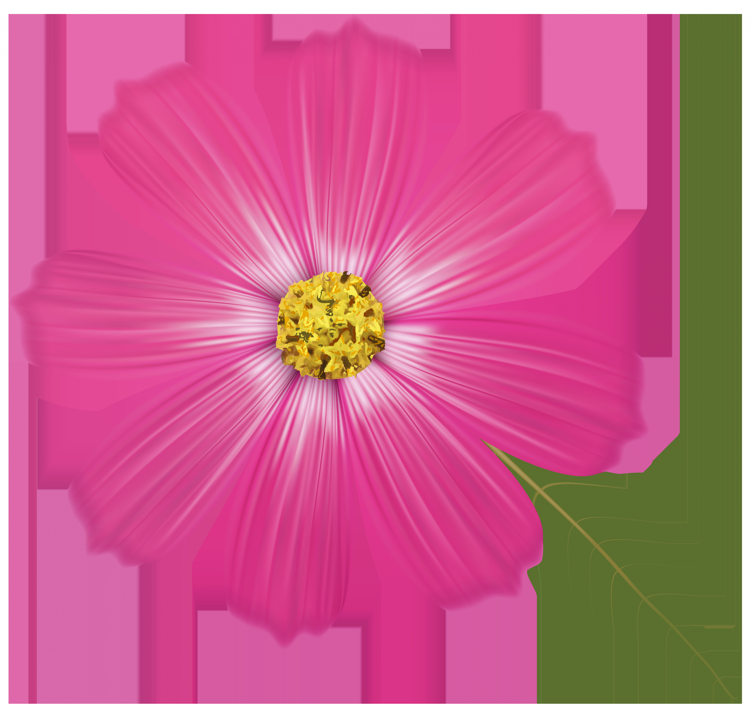 Pink Flower Clipart Luxury Free Pink Flower Clipart Download Free Pink Flower Clipart Png Images