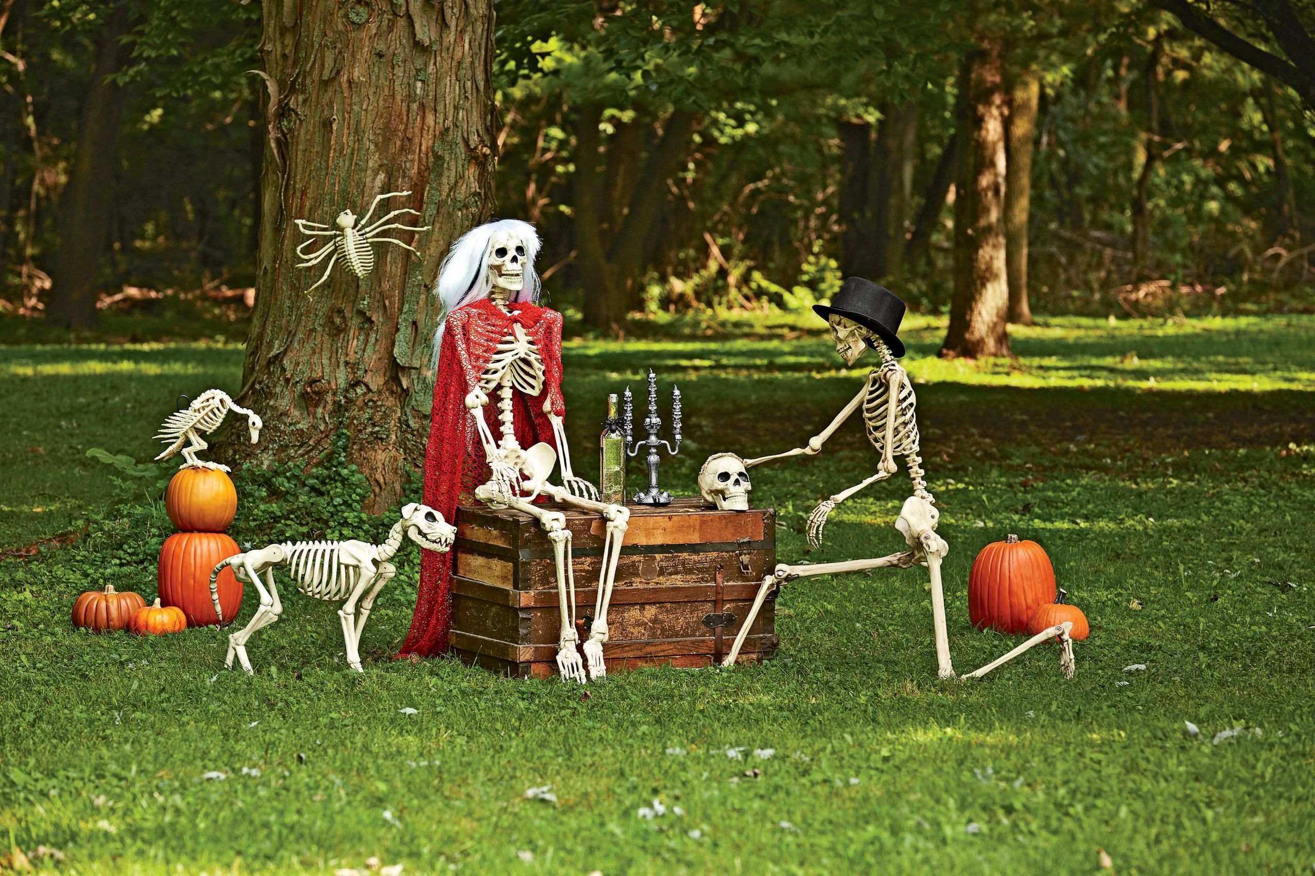 Posable Skeleton Ideas Awesome Posable Skeletons