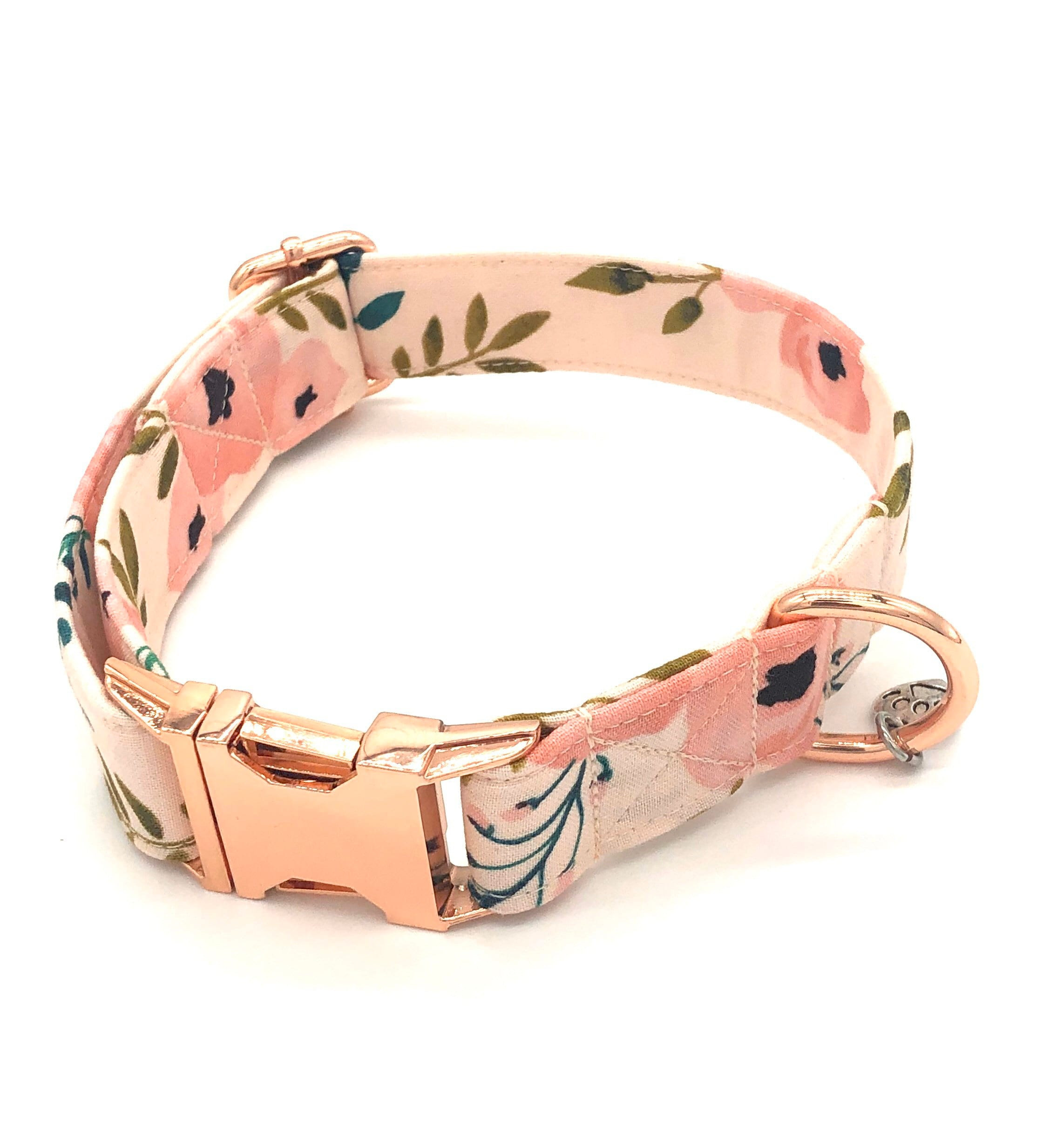 Pretty Dog Collars Luxury Pretty In Peach Dog Collar Cute Dog Collar