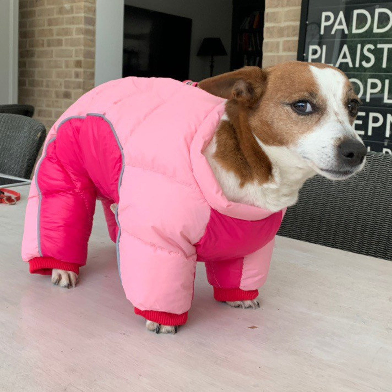 Puffer Jacket for Small Dog Inspirational Adorable Pink Dog Puffer Jacket Perfect for Small Dogs so