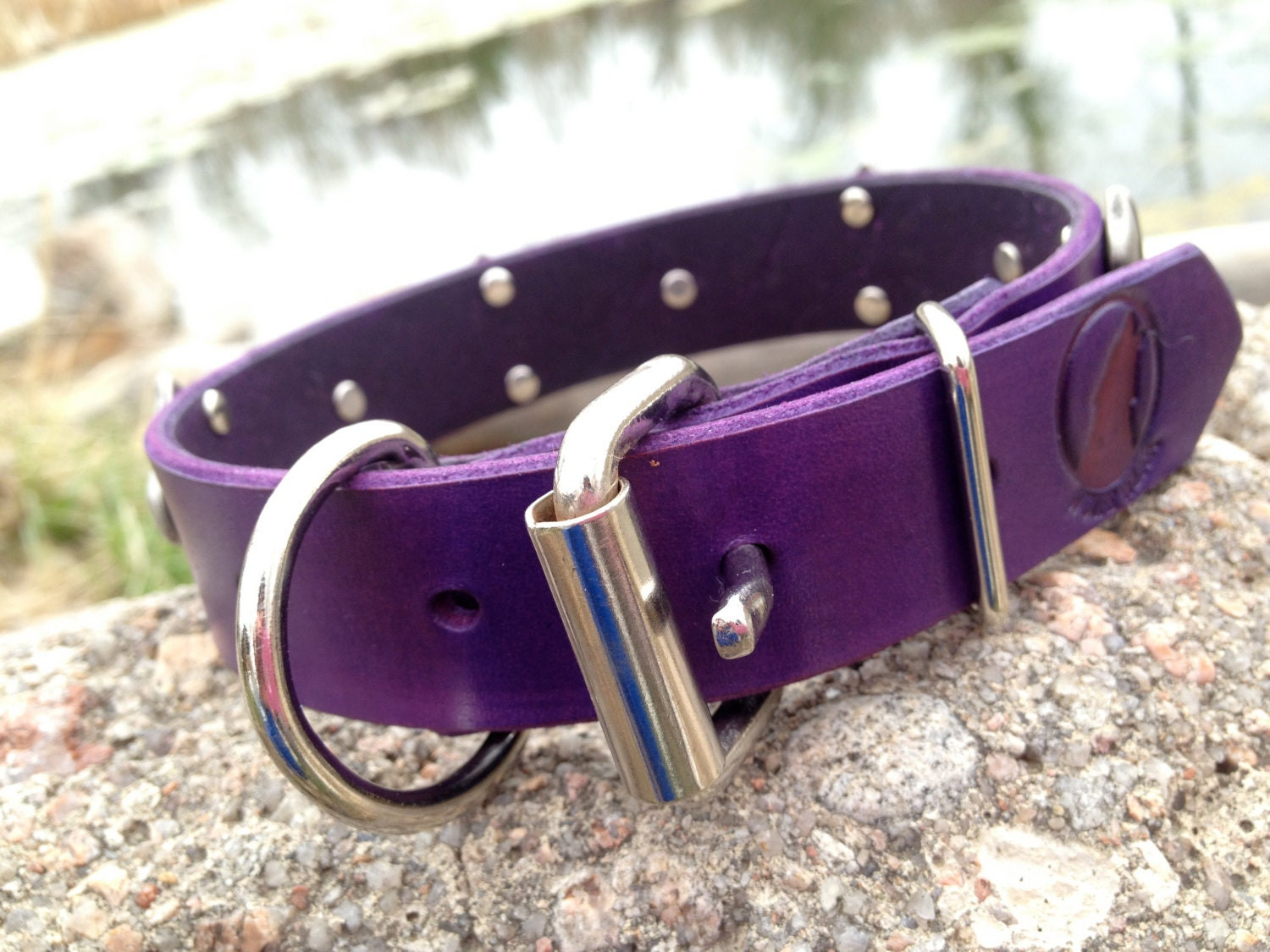 Purple Leather Dog Collar Luxury Cool Custom Purple Leather Dog Collar 1 with Silver by Kerinwolfe