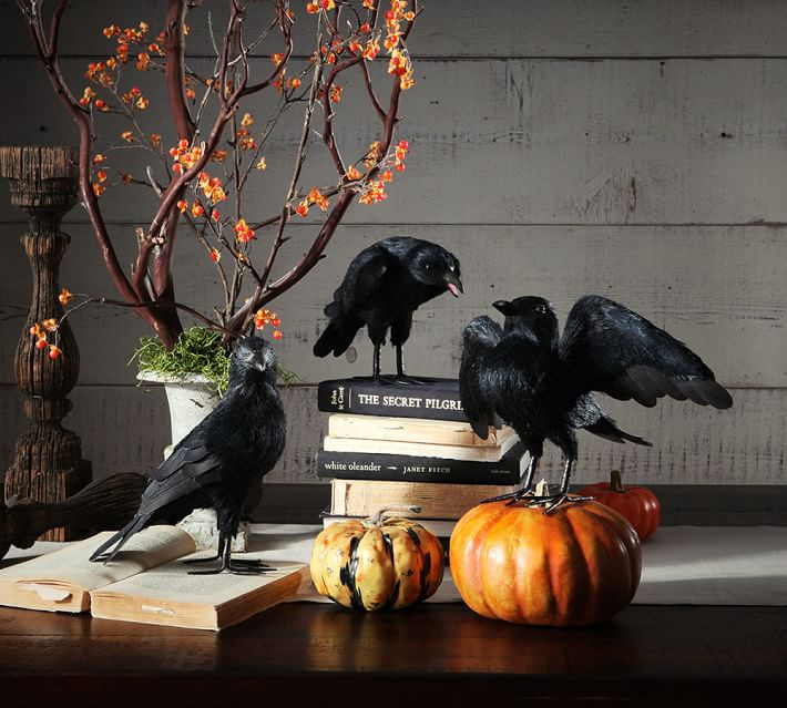 Raven Halloween Decor Best Of Deck Out Your Home with these 50 Halloween Decor Accessories