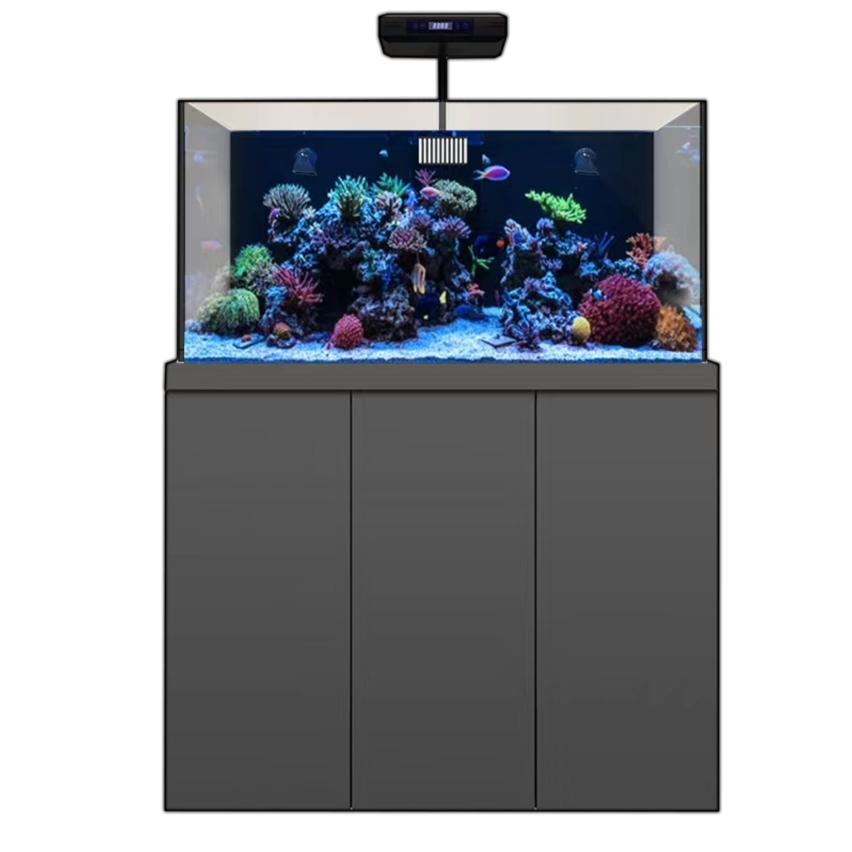 Reef Aquarium Supplies Elegant Coral Reef Aquariums &amp; Supplies