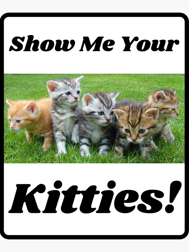 Show Me Your Kitties Elegant &quot;show Me Your Kitties Adorable Kittens Cute Cats&quot; Poster for Sale by