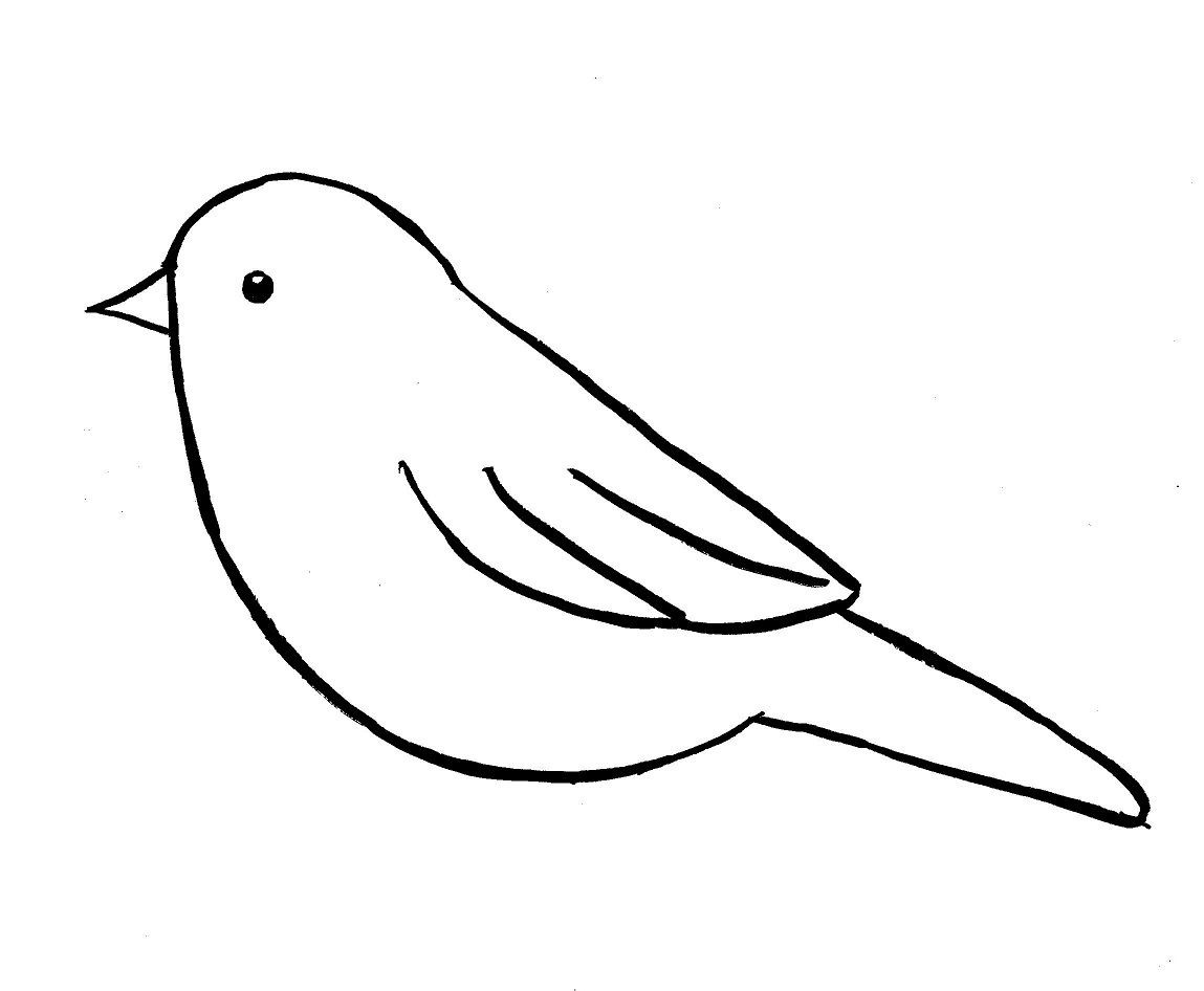 Simple Bird Line Drawing Luxury How to Draw A Bird Easy for Kids Harland Benefield