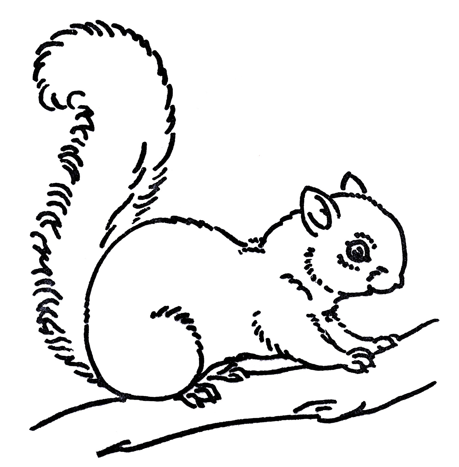 Squirrels Clipart Black and White New Squirrel Black and White Squirrel Clip Art Black and White Free Clipart