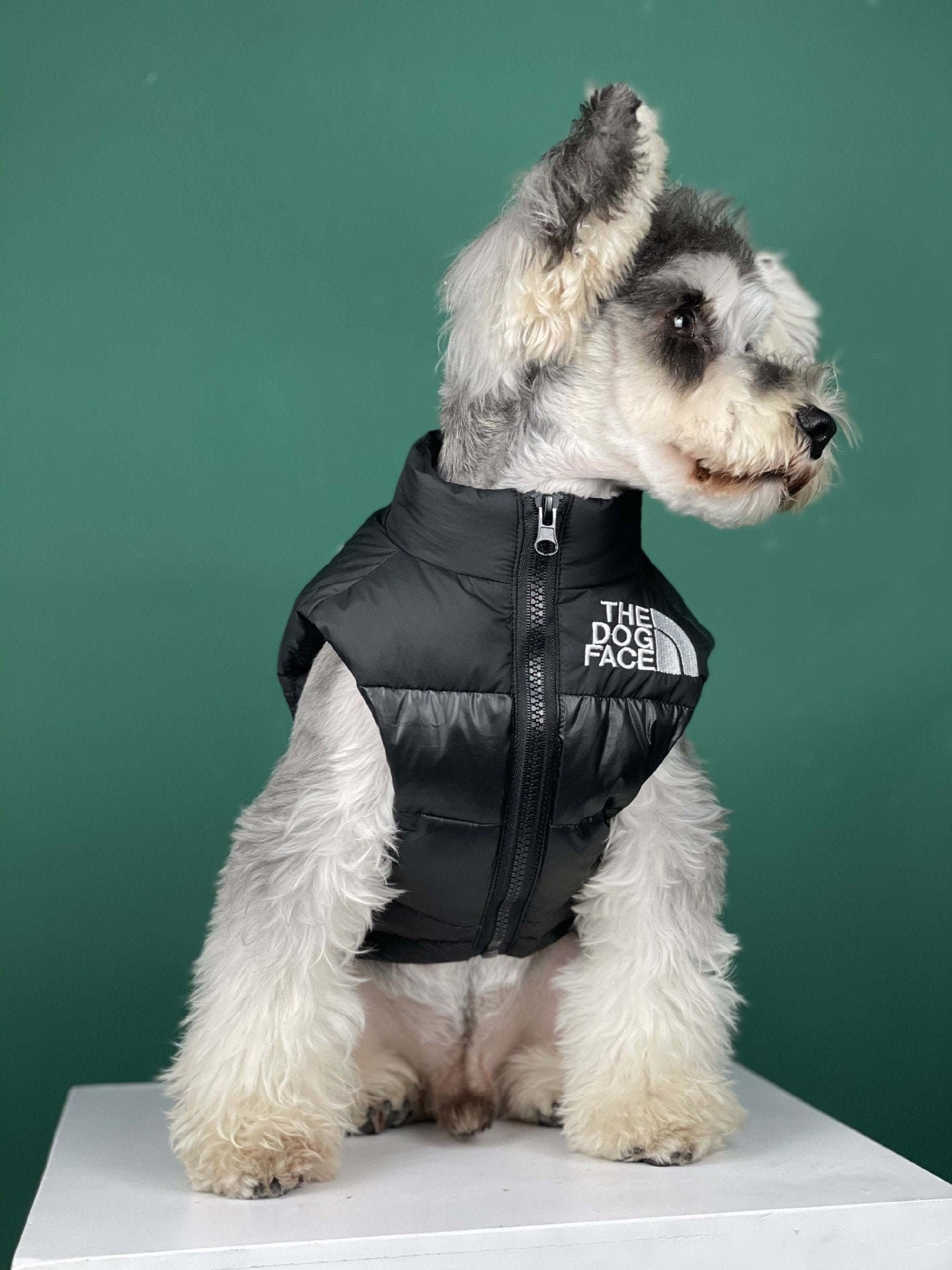 The Dog Face Puffer Jacket Inspirational Black the Dog Face Puffer Padded Dog Coat