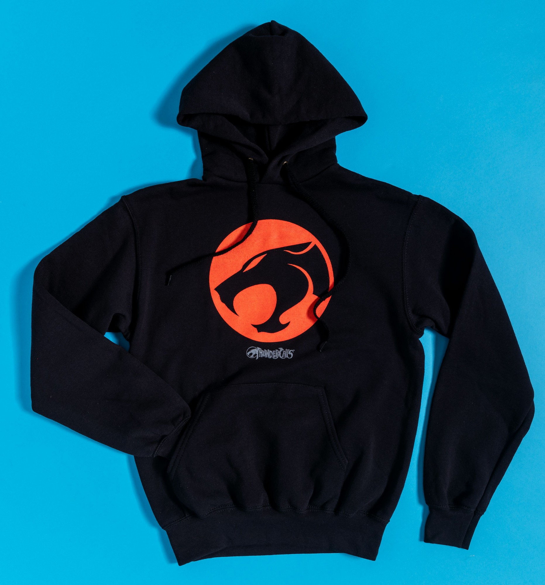 Thunder Cats Hoodie Unique Black Classic Thundercats Logo Hoo