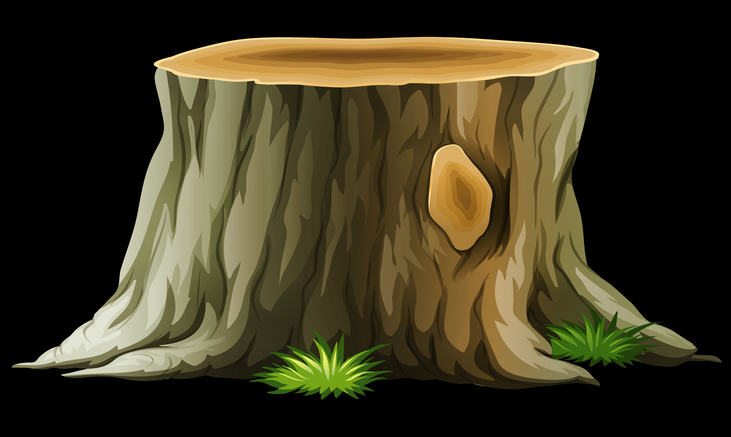 Tree Trunk Clipart Awesome Free Transparent Tree Trunk Download Free Transparent Tree Trunk Png