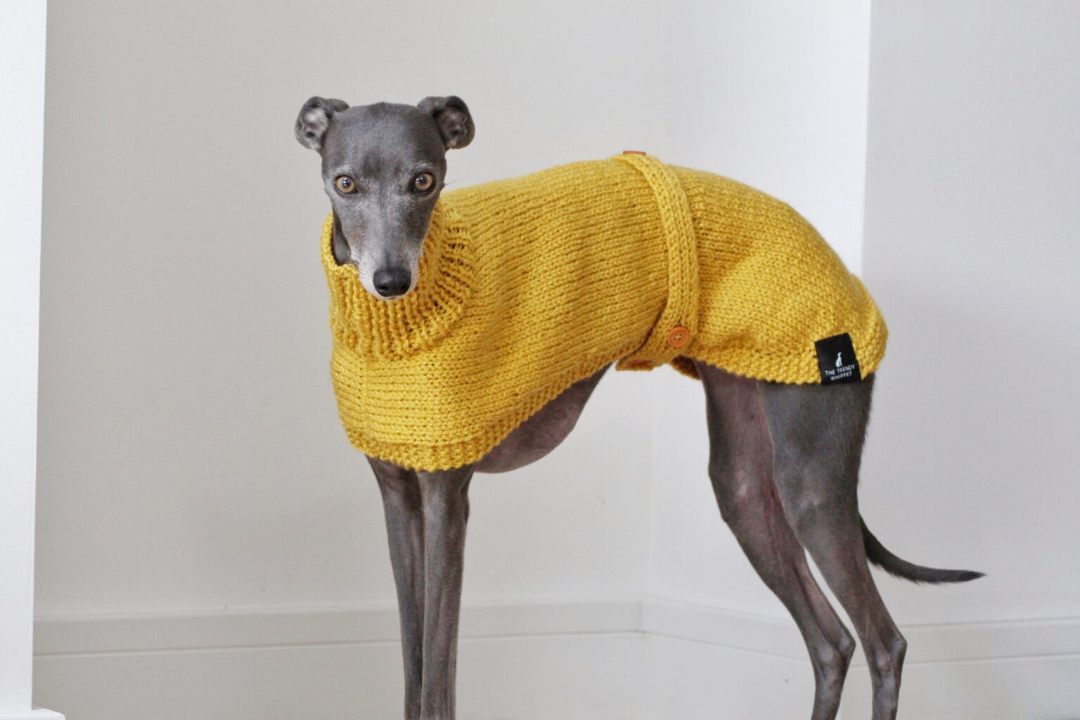 Whippet Dog Jumper Fresh Mustard Yellow Hand Knitted Whippet Jumper