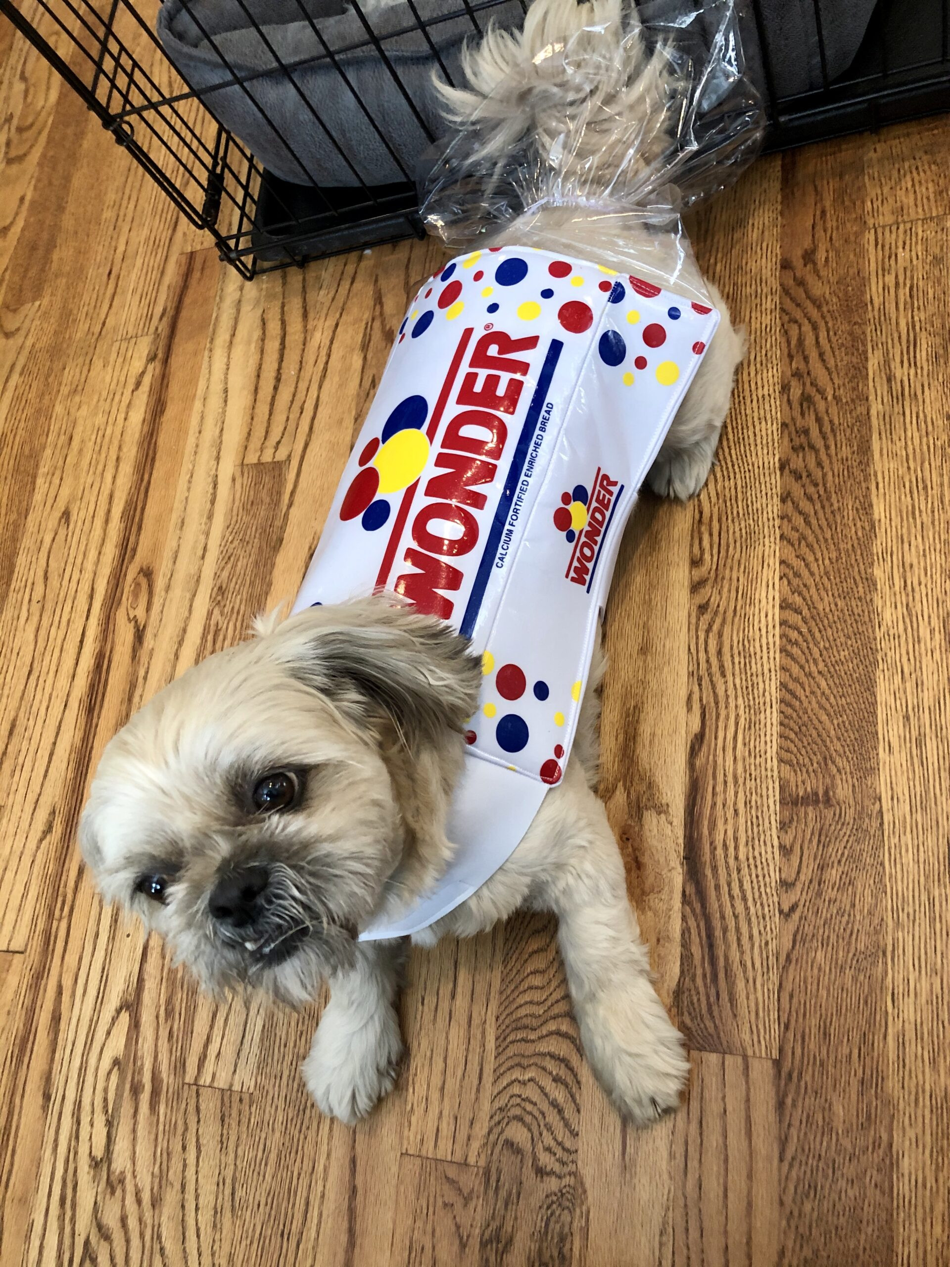 Wonder Bread Dog Costume Beautiful Wonder Bread Dog Costume Home and Geek