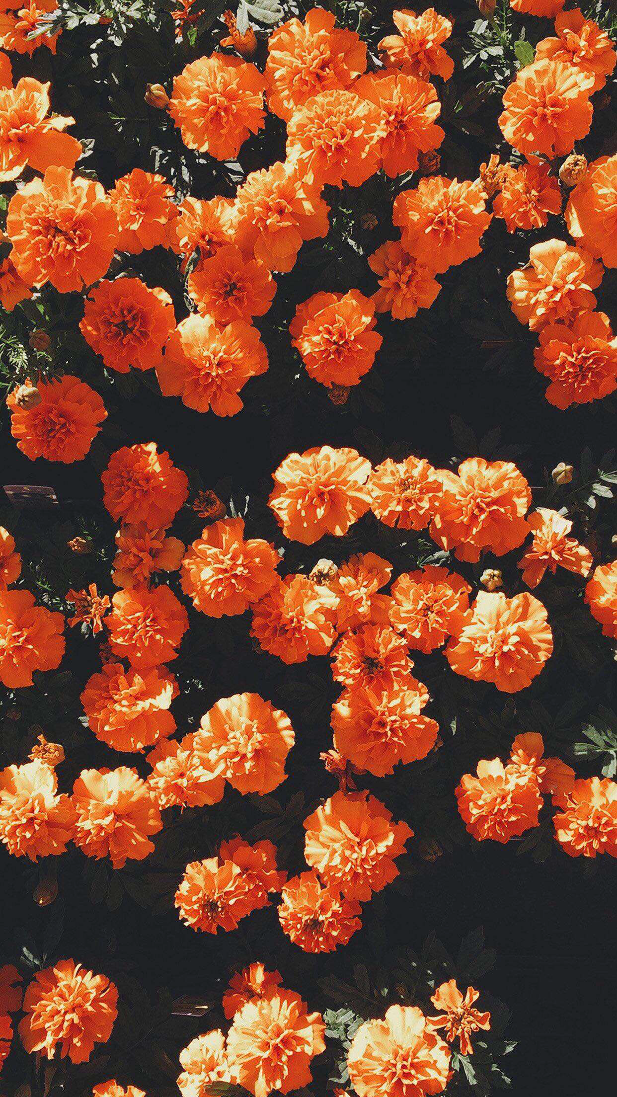 Aesthetic orange Wallpaper New Aesthetic orange Hd Wallpapers Wallpaper Cave