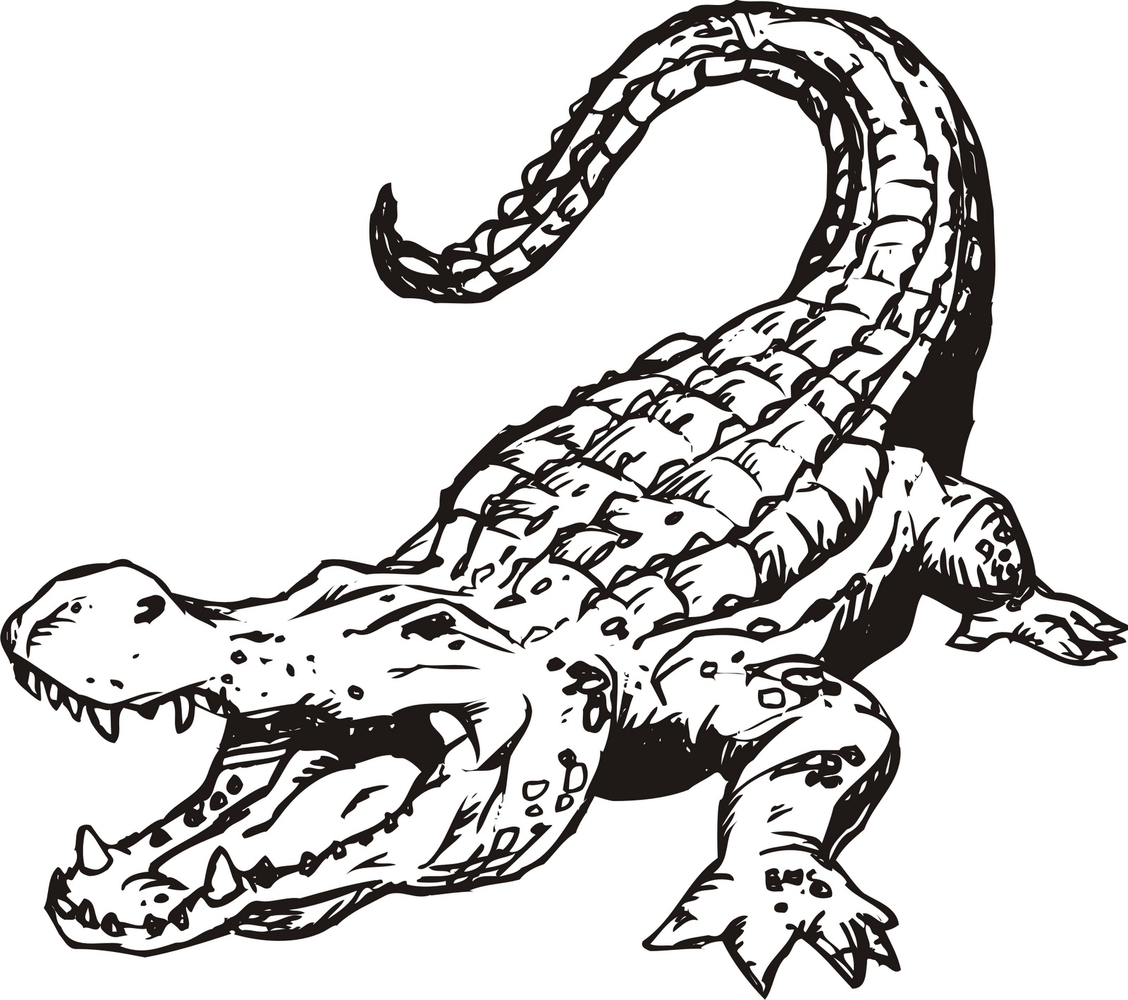 Alligator Color Page New Free Printable Alligator Coloring Pages for Kids