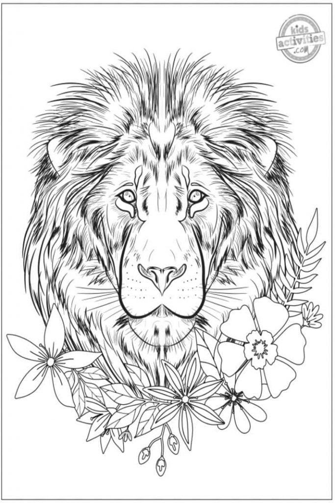 Animal Colouring Book for Adults New Coolest Animal Coloring Pages for Adults to Print &amp; Color