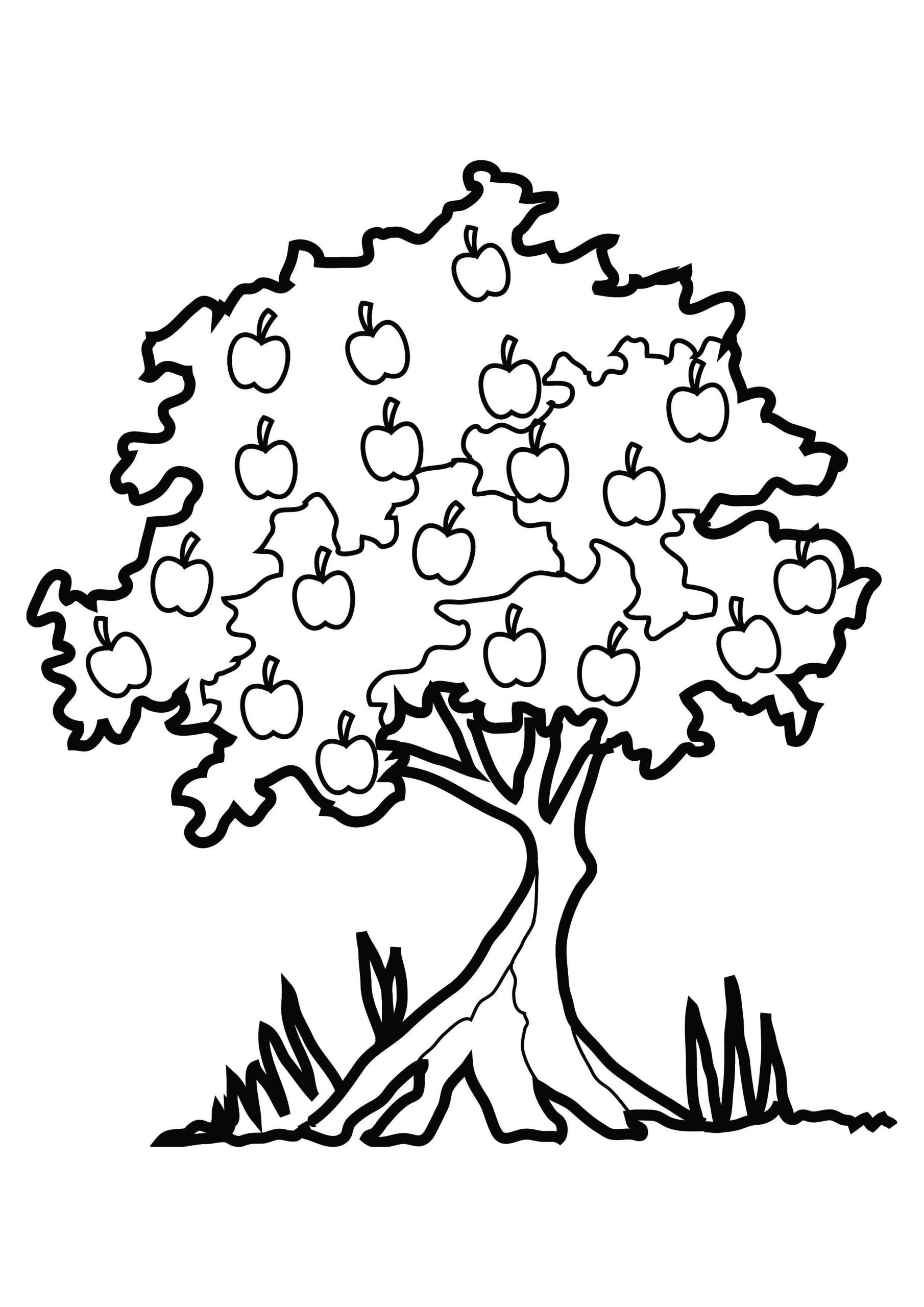 Apple Tree Coloring Page Beautiful Free Printable Tree Coloring Pages for Kids