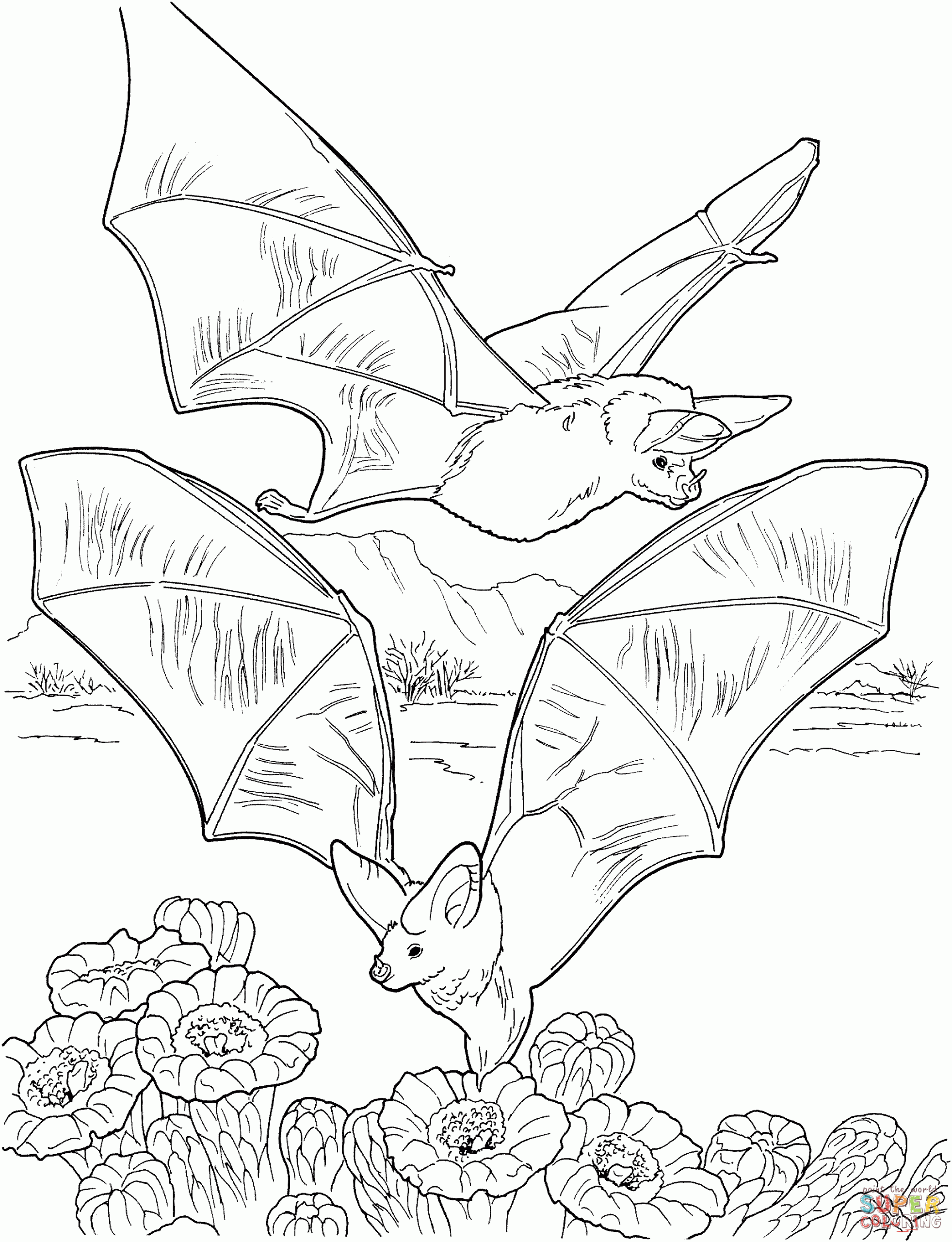 Bat Coloring Sheet Elegant Free Printable Bat Coloring Pages for Kids