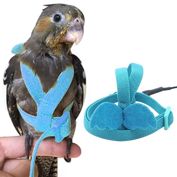 Bird Harness and Leash Fresh Outgeek Bird Harness and Leash Set Lovely Cockatiels Harness with Leash