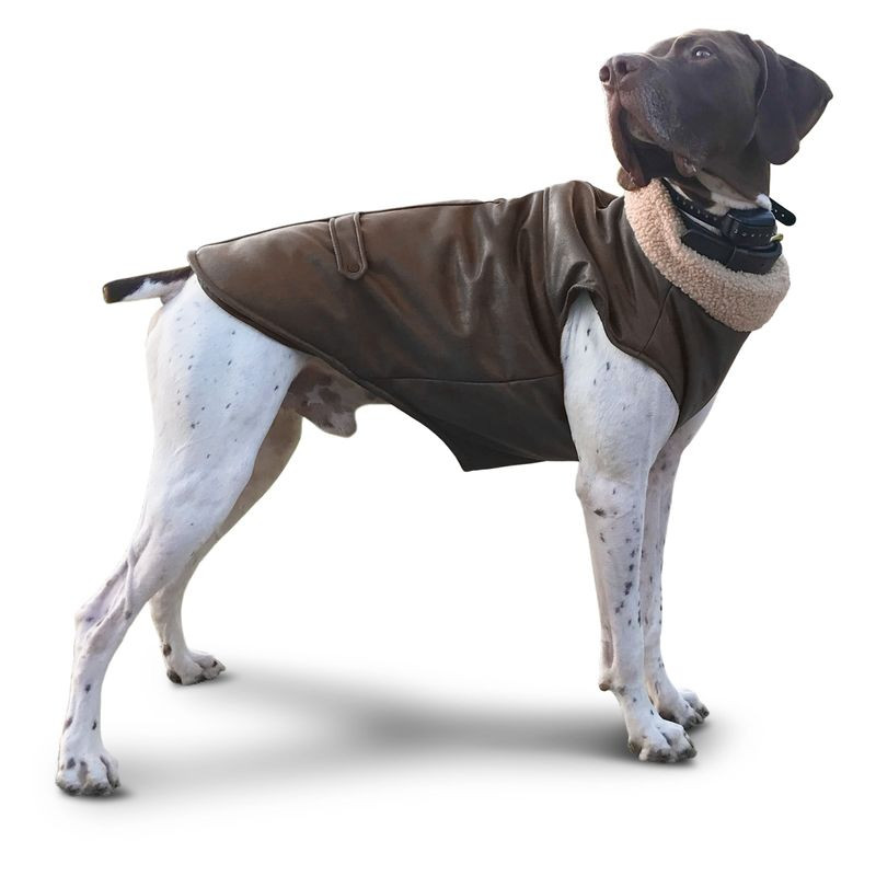 Bomber Jacket for Dogs Unique Bomber Dog Jacket by Fashion Pet Jeffers