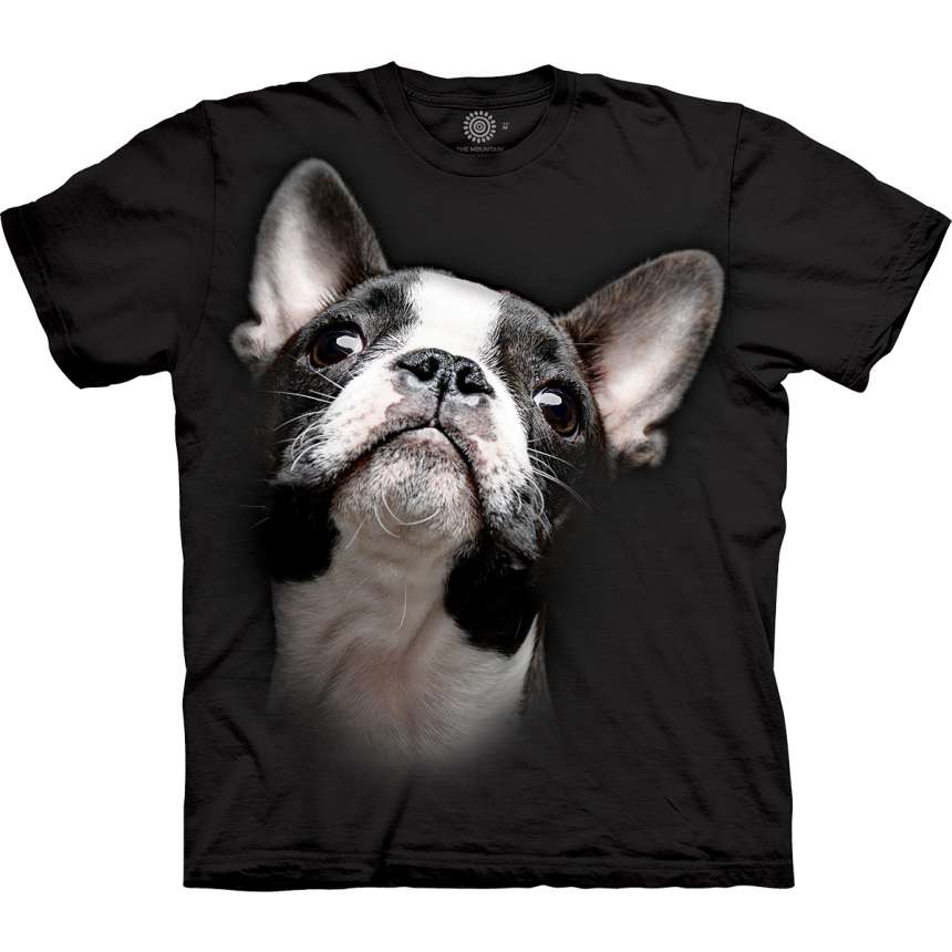 Boston Terrier Tee Shirts Awesome Adorable Boston Terrier T Shirt Clothingmonster