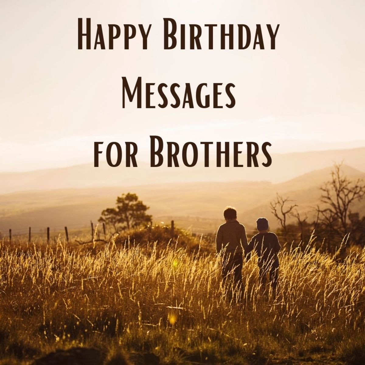 Brother Birthday Quotes Unique 141 Birthday Wishes Texts and Quotes for Brothers Holidappy