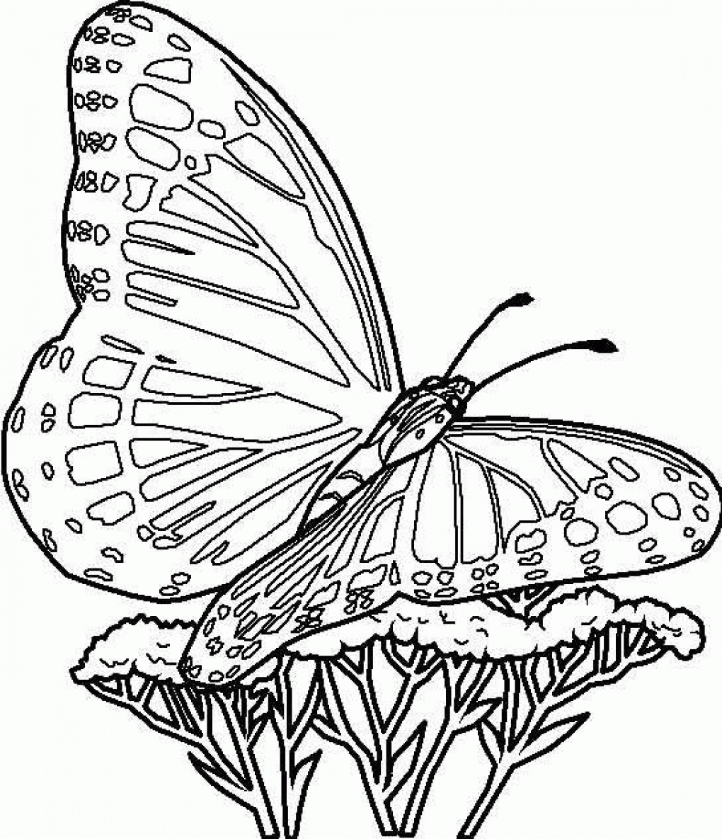 Butterfly Coloring Pages Beautiful Free Printable butterfly Coloring Pages for Kids