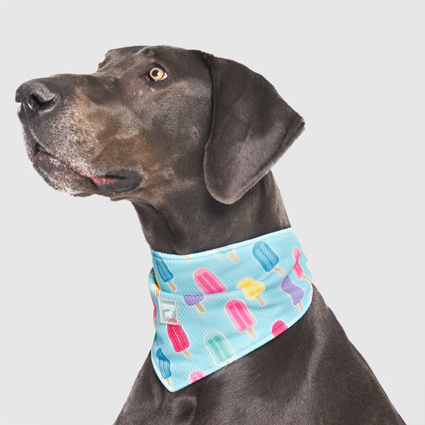 Canada Pooch Cooling Bandana Inspirational Dog Cooling Bandana Scarf