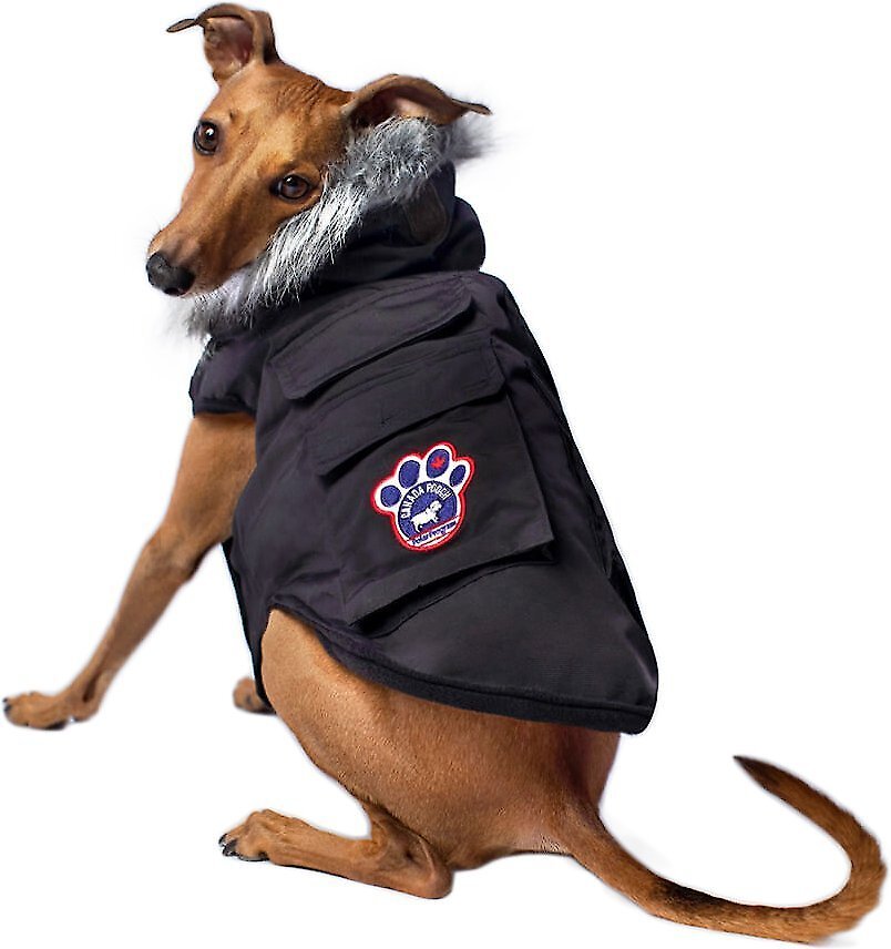 Canada Pooch Jackets New Canada Pooch Everest Explorer Premium Faux Down Insulated Dog Jacket