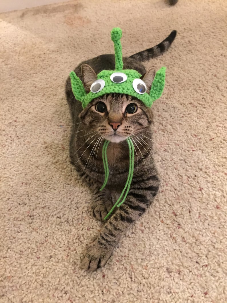 Cat Alien Costume Fresh Alien Cat Costume