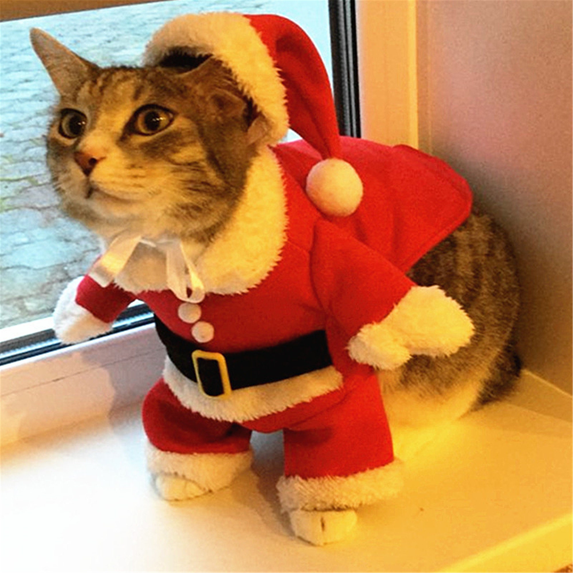 Cat Christmas Costume New Christmas Cat Costumes Funny Santa Claus Clothes for Small