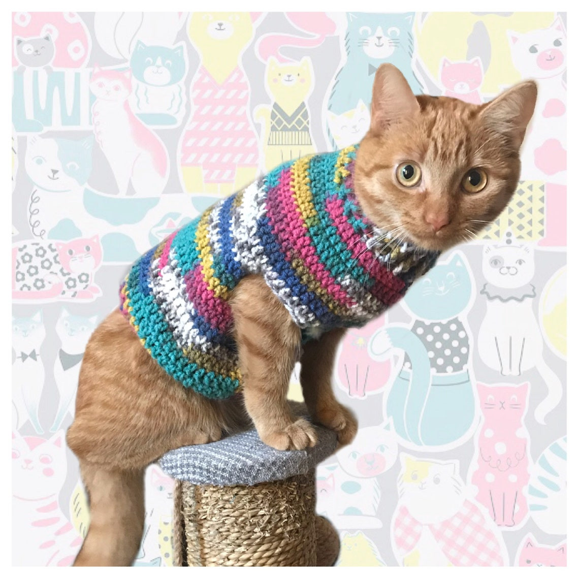 Cat Jumper for Cats New Cute Cat Jumper for Kittens &amp; Cats