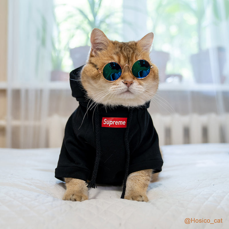 Cat Sweatshirt for Cats New Pet Fashion Shirt Cat Cotton Vest Hoo Hosico Same Style – Limeow