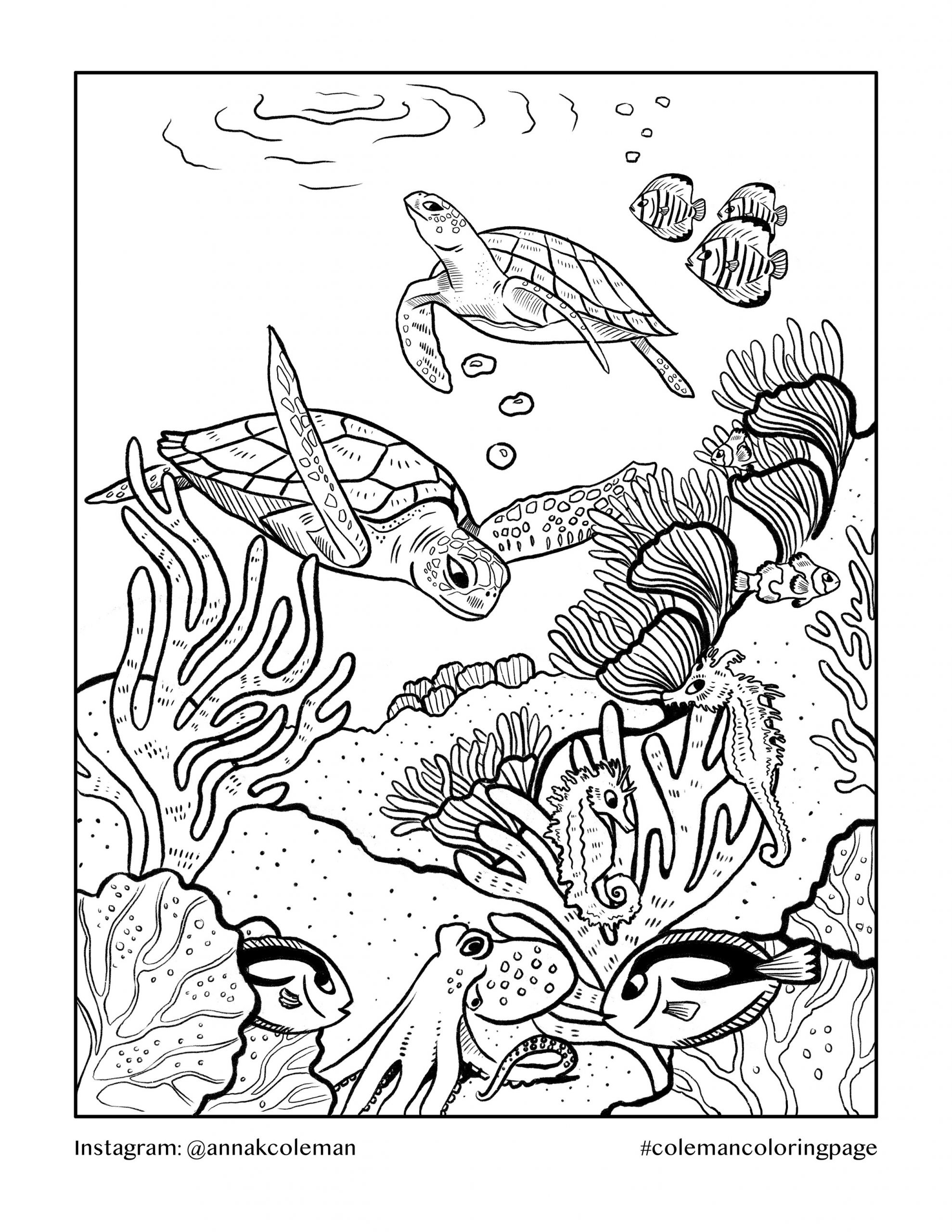 Coral Reef Coloring Page New Free Printable Coral Reef Coloring Pages