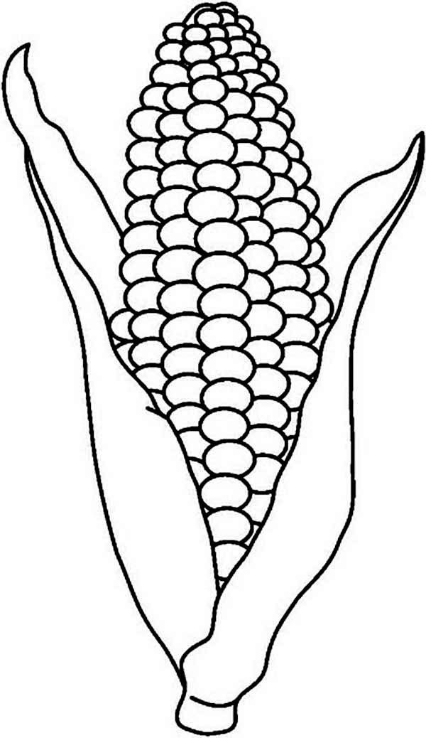 Corn Coloring Sheets Lovely Corn Coloring Pages Printable Coloring Home