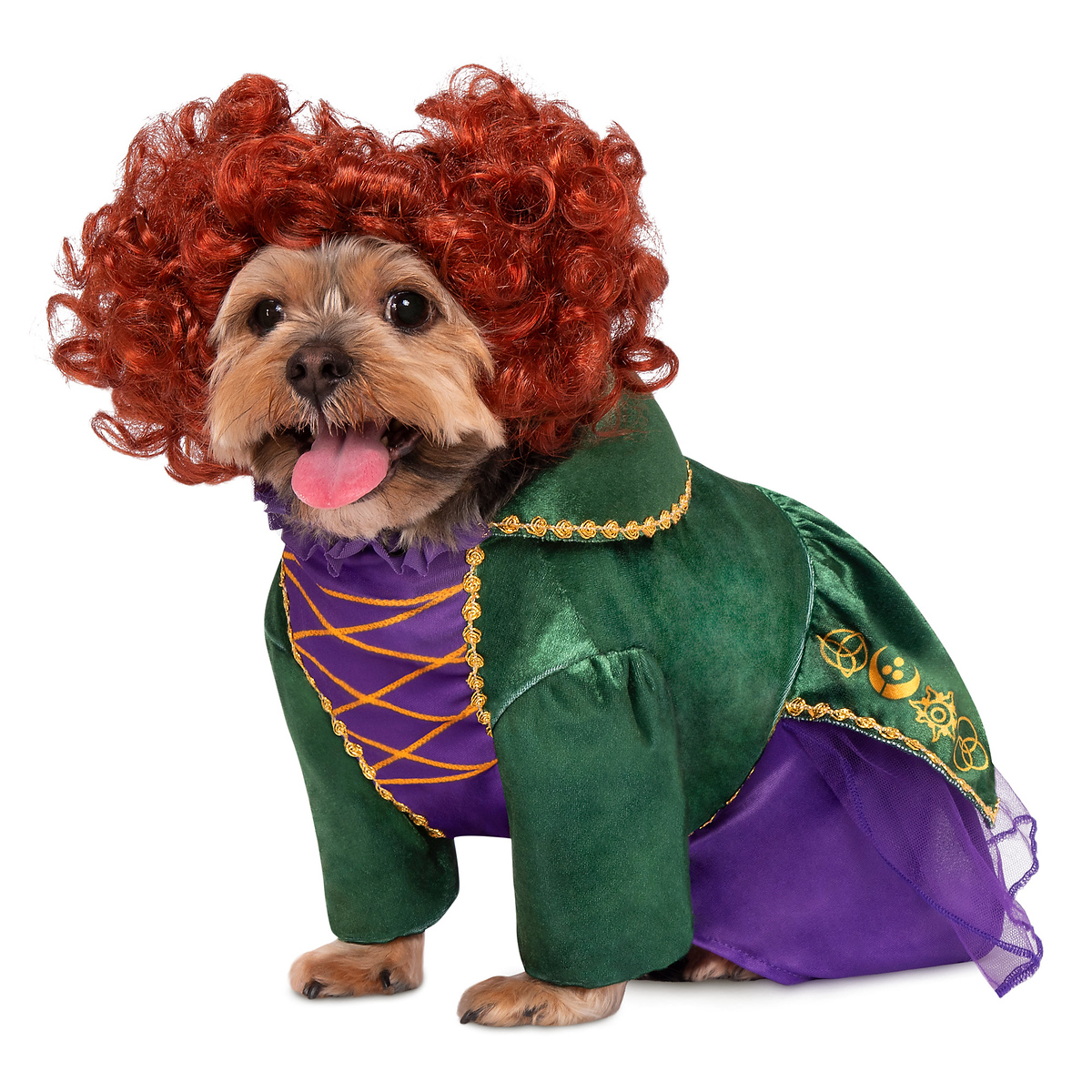 Costumes Dog Costumes Awesome the Best Halloween Costumes for Dogs In 2022