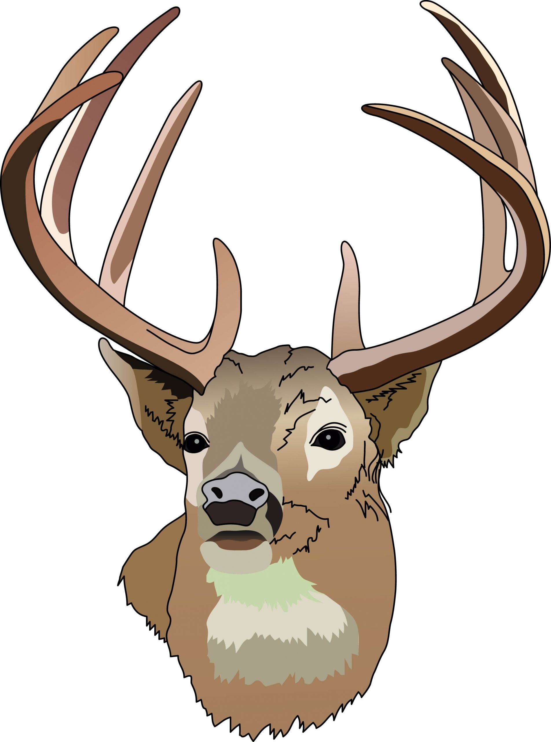 Deer Clip Art Free Beautiful Free Deer Clip Art Clipartix