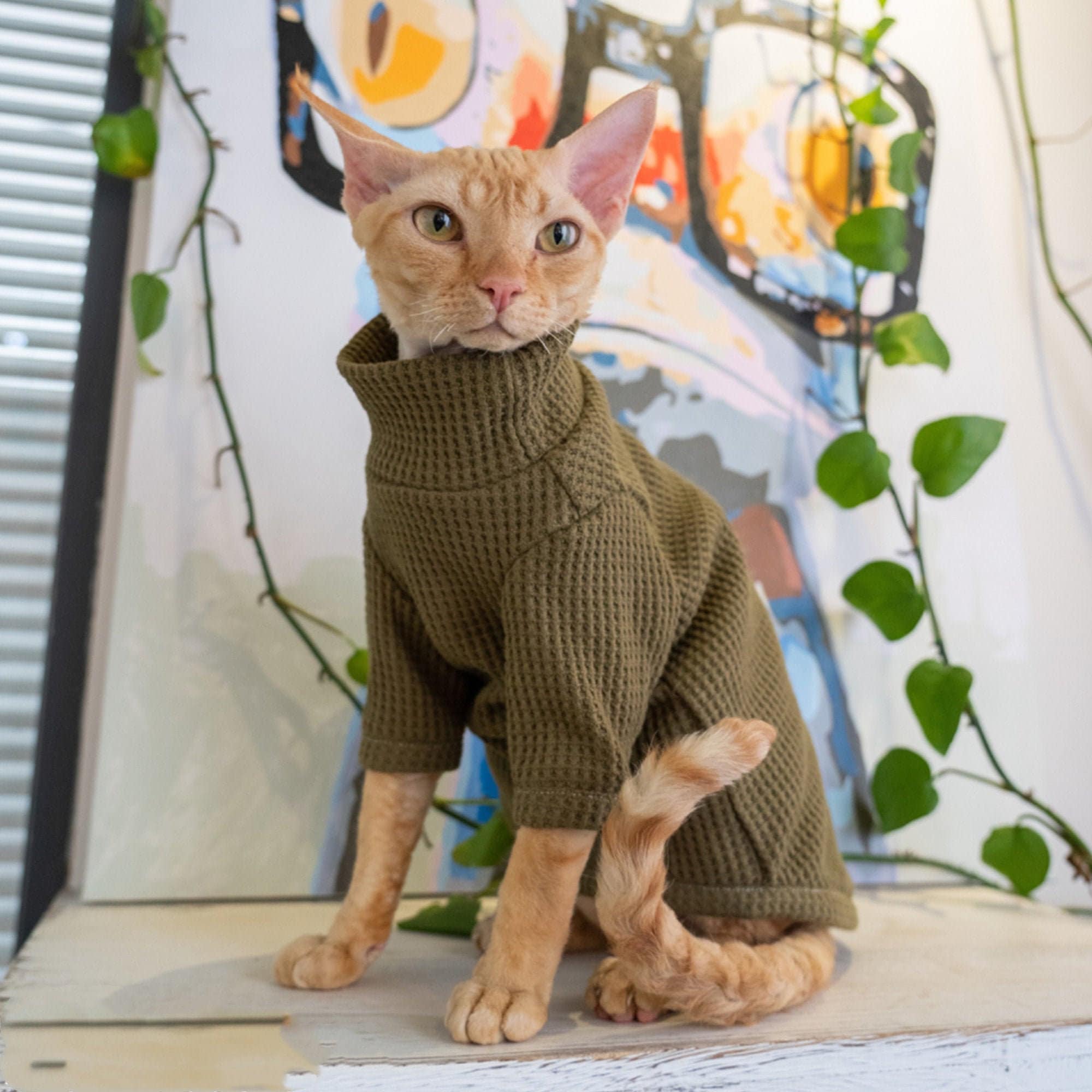 Designer Cat Clothes Elegant Warm Cat Clothes Sphynx Cat Sweater Hairless Cat Clothes