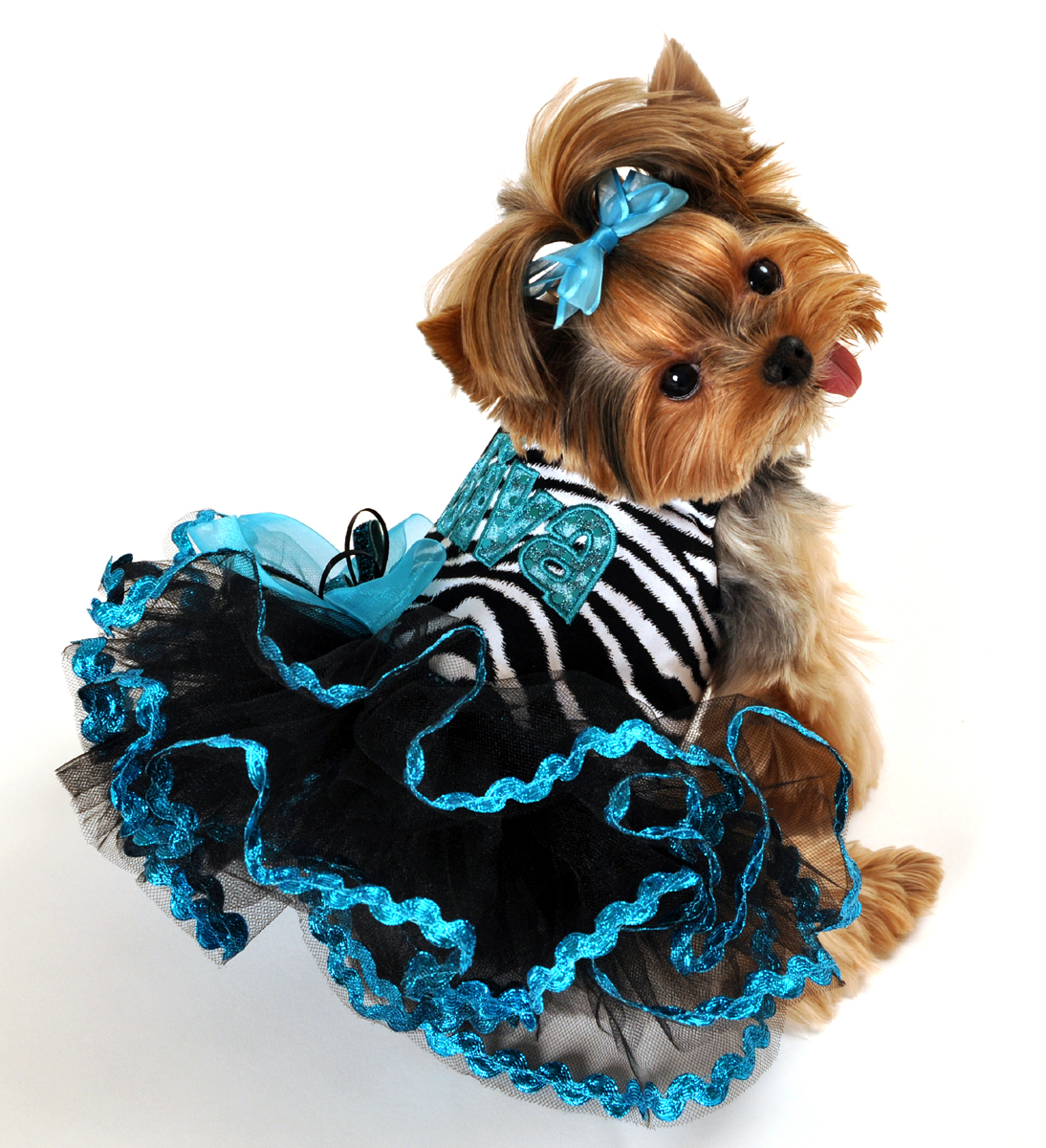 Designer Pet Clothes Elegant Designer Custom Made Dog Clothing Tinkerbell S Closet Dog Couture