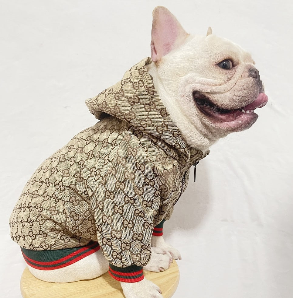 Designer Wear for Dogs Beautiful Gucci Dog Clothes