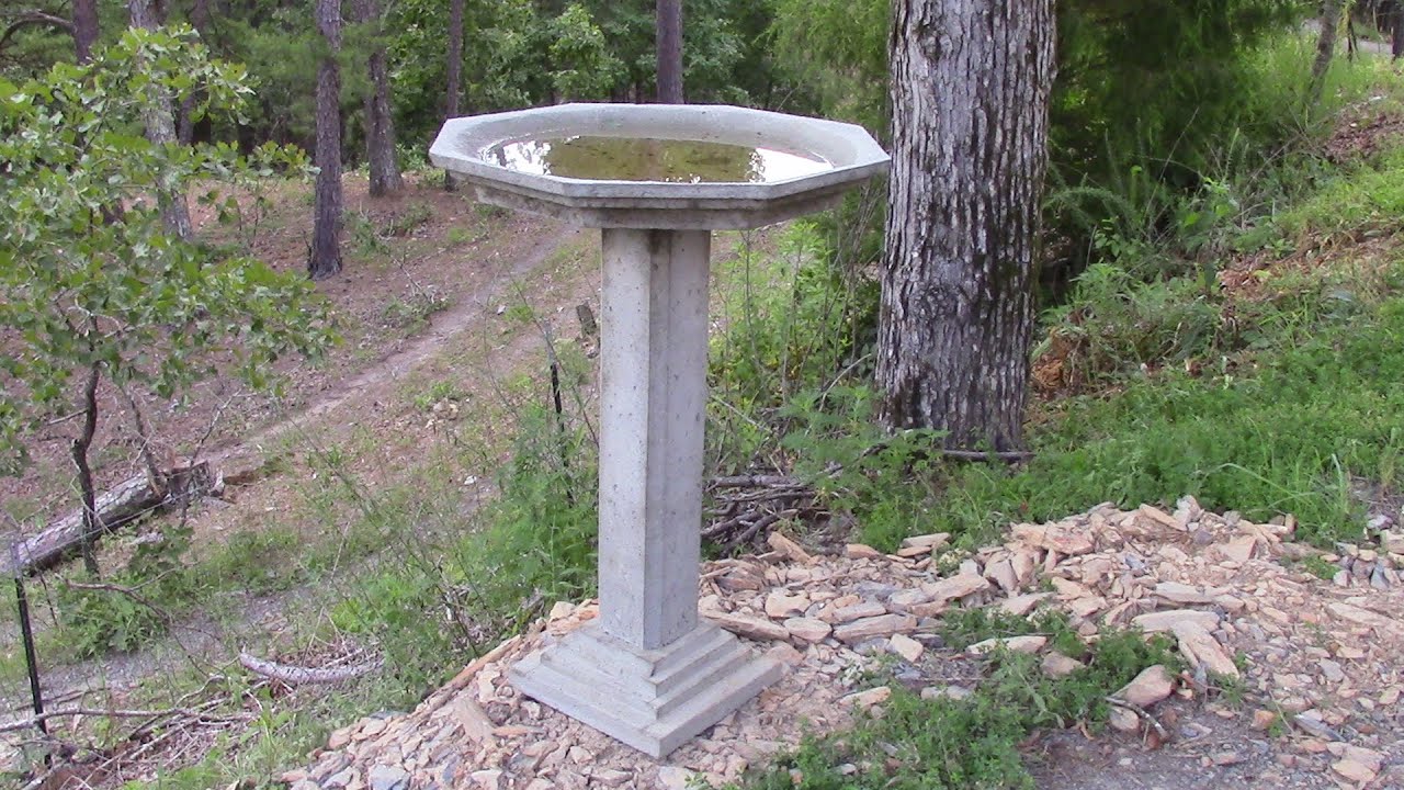 Diy Bird Bath Concrete Awesome How to Make A Concrete Birdbath Part 1