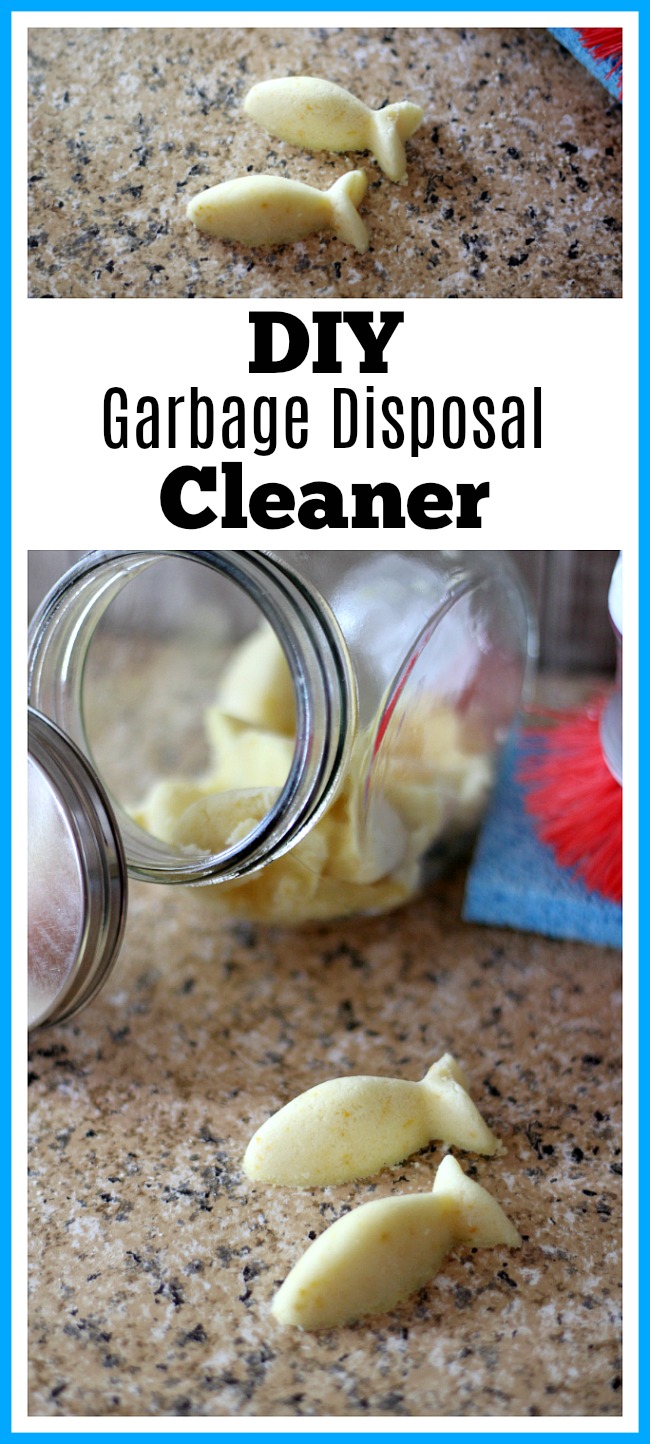 Diy Garbage Disposal Cleaner Best Of Diy Garbage Disposal Cleaner Easy Homemade Disposal Refresher