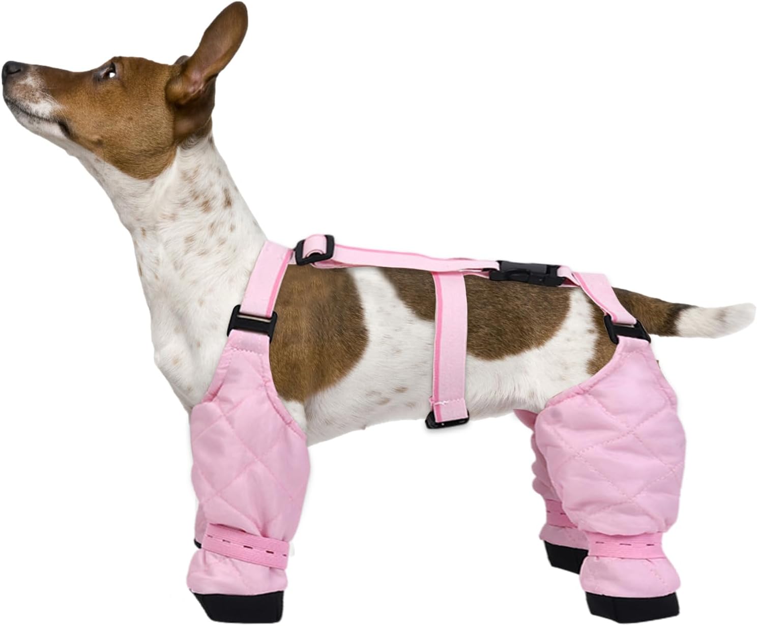 Dog Boots with Suspenders New Dog Boots with Suspenders Winter Snow Suspender Boots for Dogs