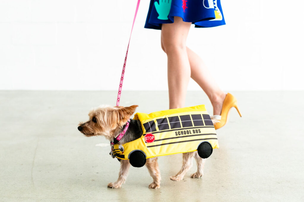 Dog Bus Costume Beautiful Freshly Fuji Diy the Magic School Bus X Bill Nye Costumes