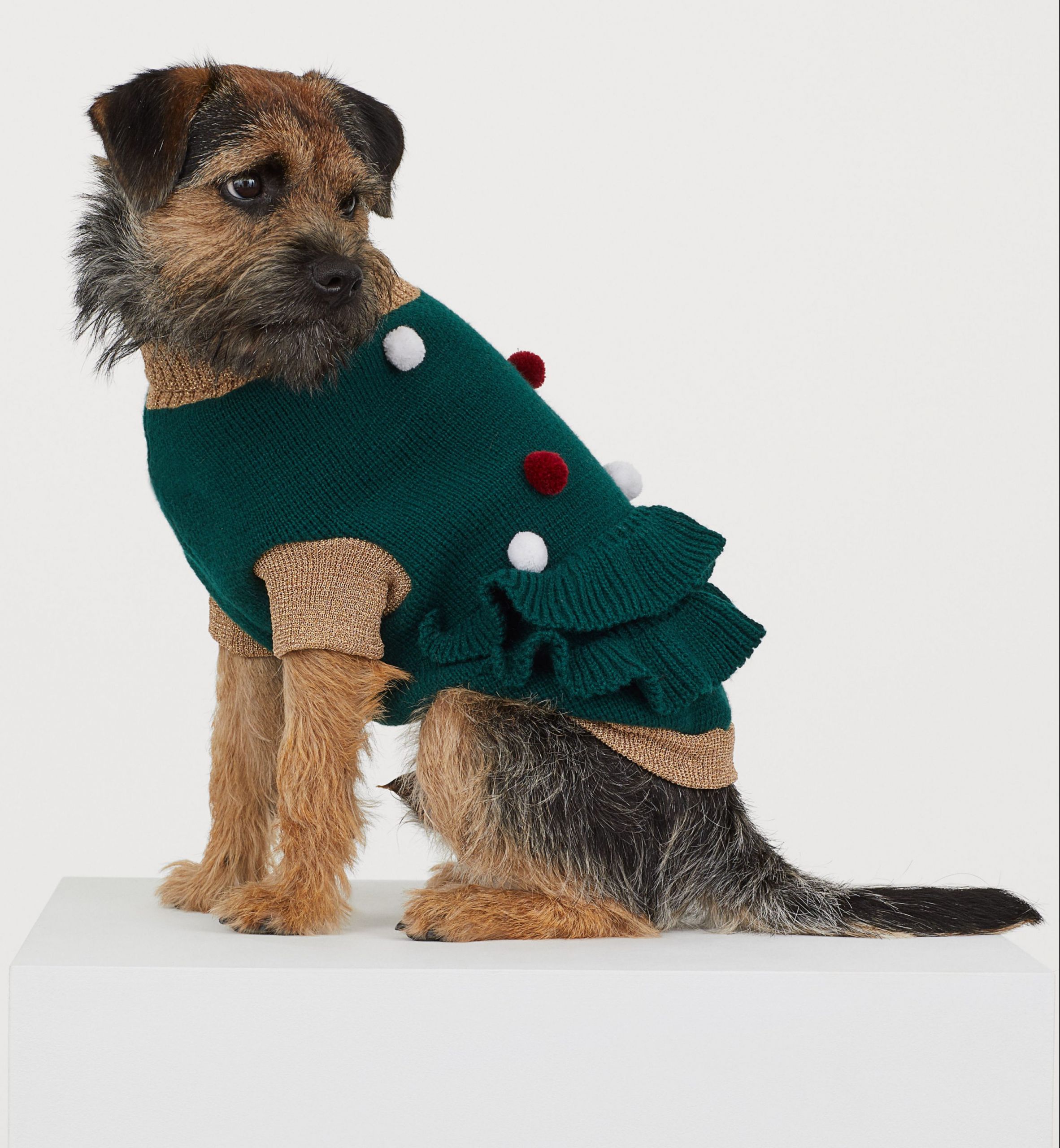 Dog Christmas Outfit Elegant Dog Christmas Outfits that You Ll Love Dressing Your Pooch In