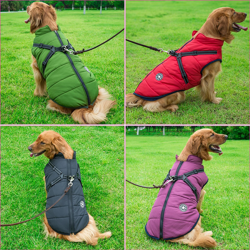 Dog Coat and Harness Fresh Small Dog Coats with Harness Line