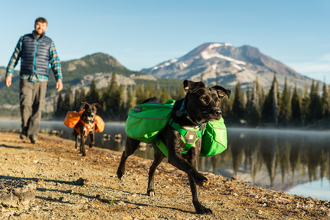 Dog Hiking Gear Awesome K9 Climb 10 Best Hiking Backpacks for Dogs