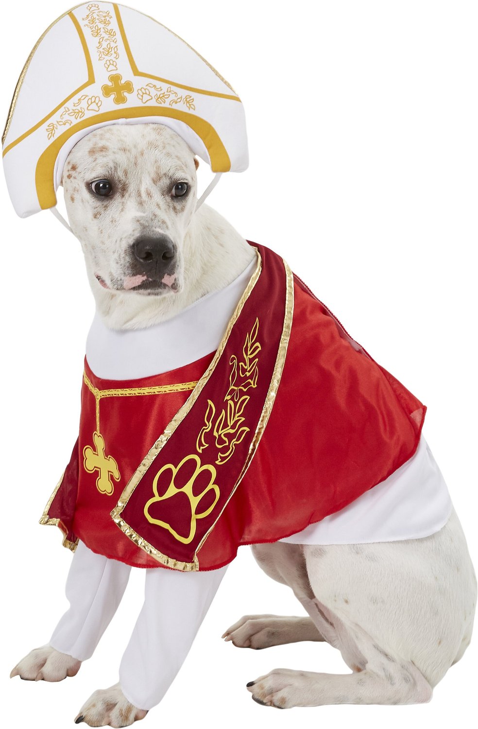 Dog Pope Costume Best Of California Costumes Holy Hound Pope Dog Costume Chewy