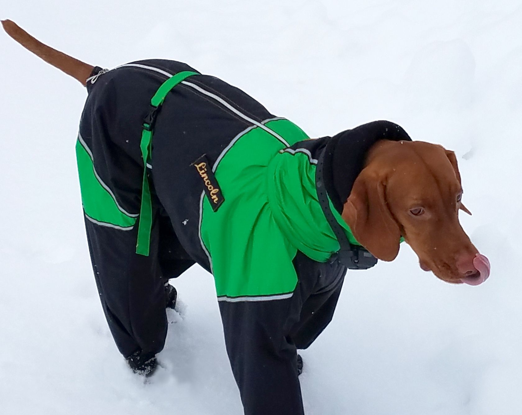 Dog Snowsuit with Boots Inspirational Full Body Breed Dog Snowsuit with attached Boots