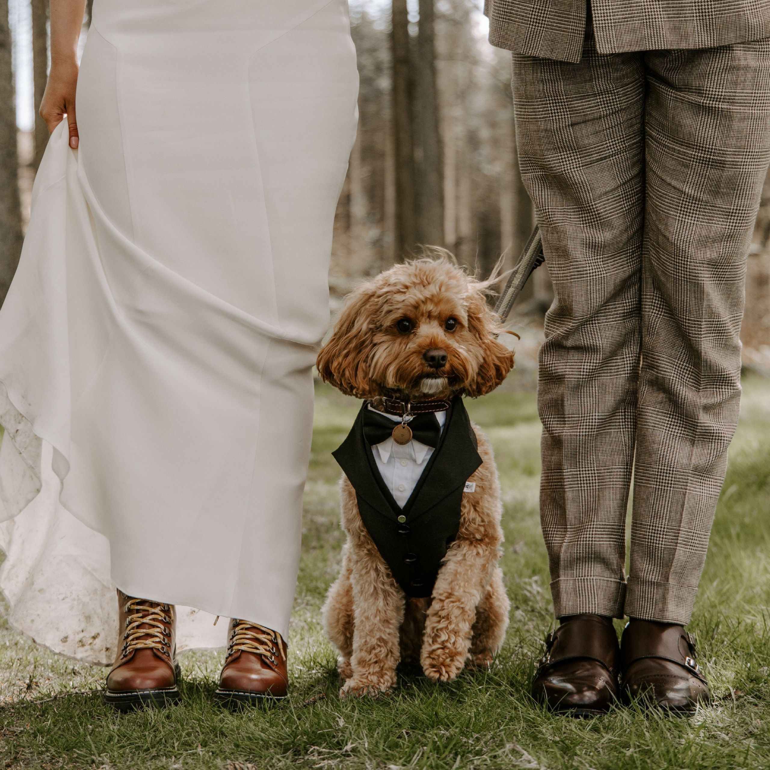 Dog Suit for Wedding Elegant Ready to Ship Black Dog Suit Dog Wedding attire Dog Ring Etsy Ireland