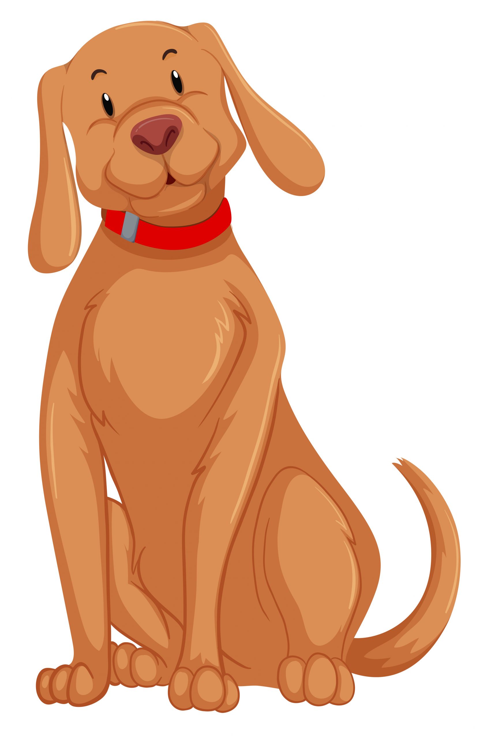 Dog Vector Image Lovely A Cute Dog Character Vector Art at Vecteezy